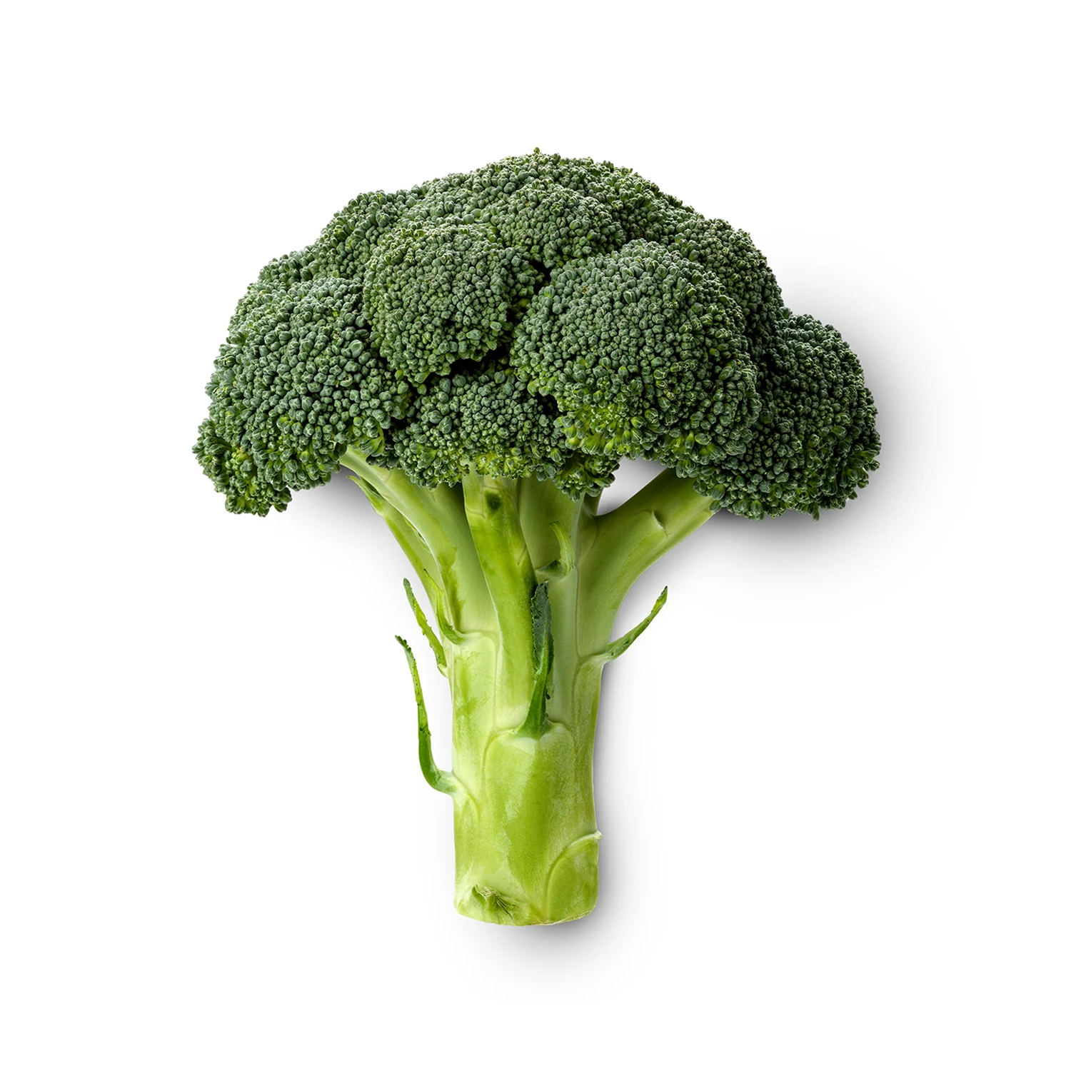 Organic Fruit & Vegetables