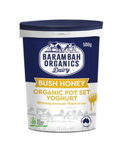 BARAMBAH ORGANICS BUSH HONEY YOGHURT (500g)