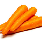 CARROT MEDIUM