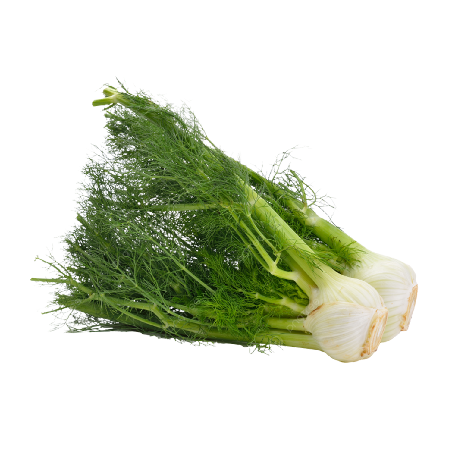 Eatraw Organic Delivery