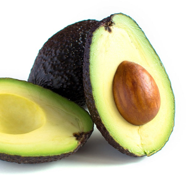 AVOCADO HASS (FIRM)