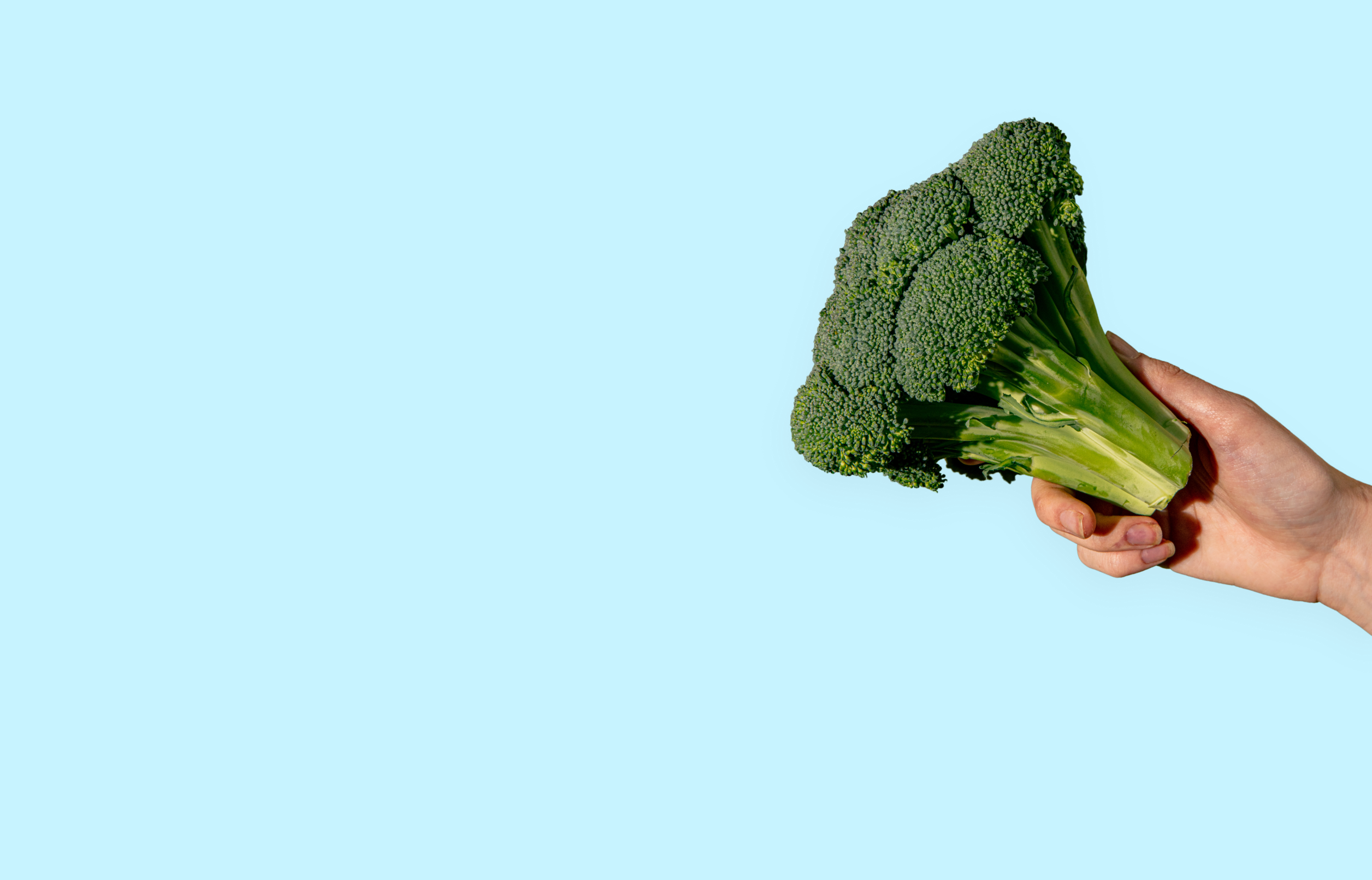 Eatraw Organic Delivery