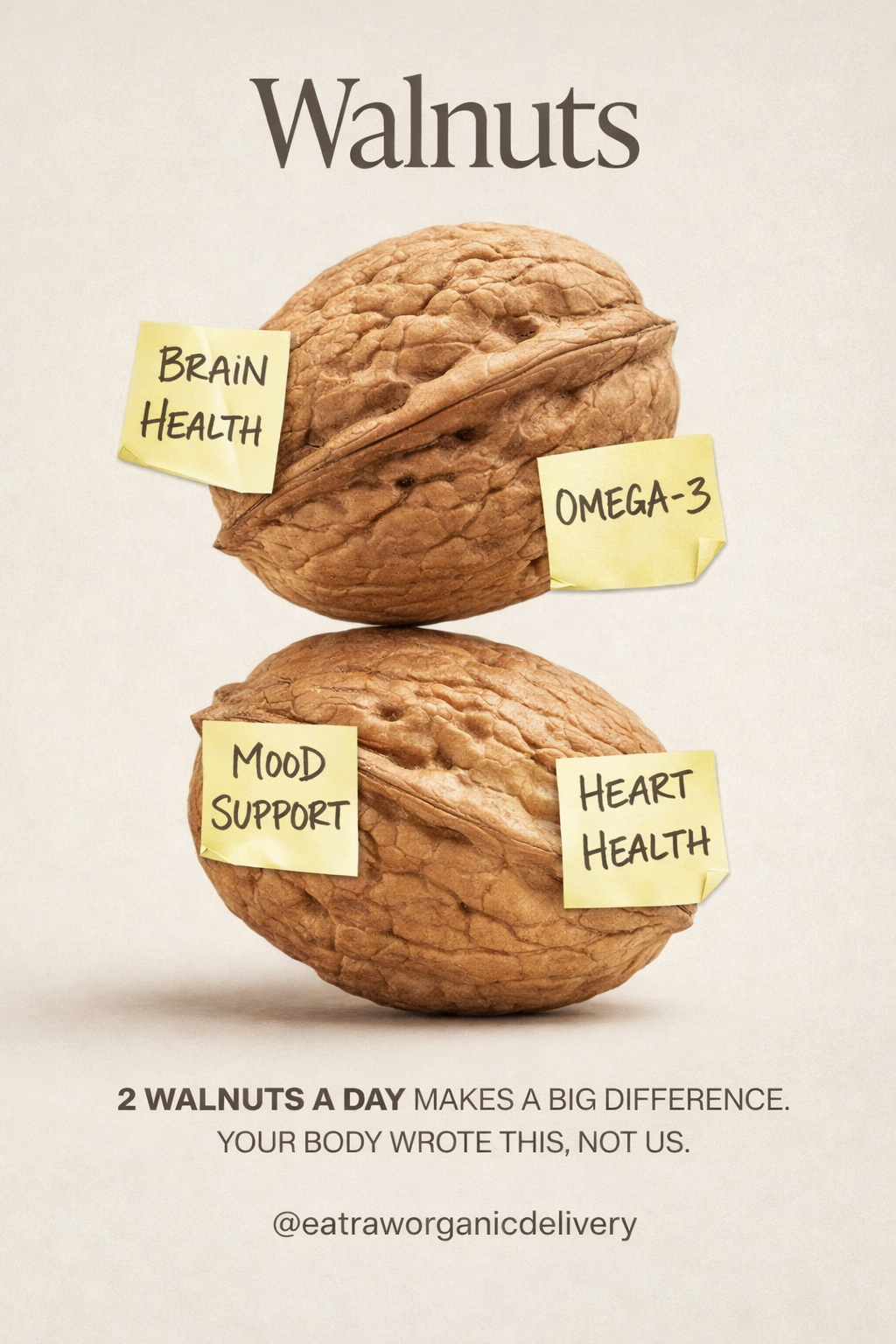 Why Eating Just 2 Walnuts a Day Could Be One of the Best Habits for Your Health