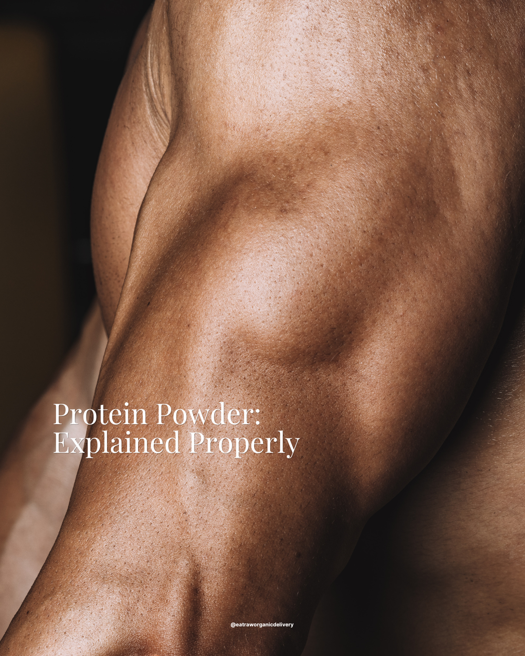 Protein Powder: Explained Properly