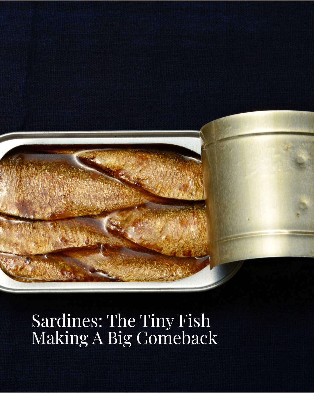 Sardines: The Tiny Fish Making A Big Comeback