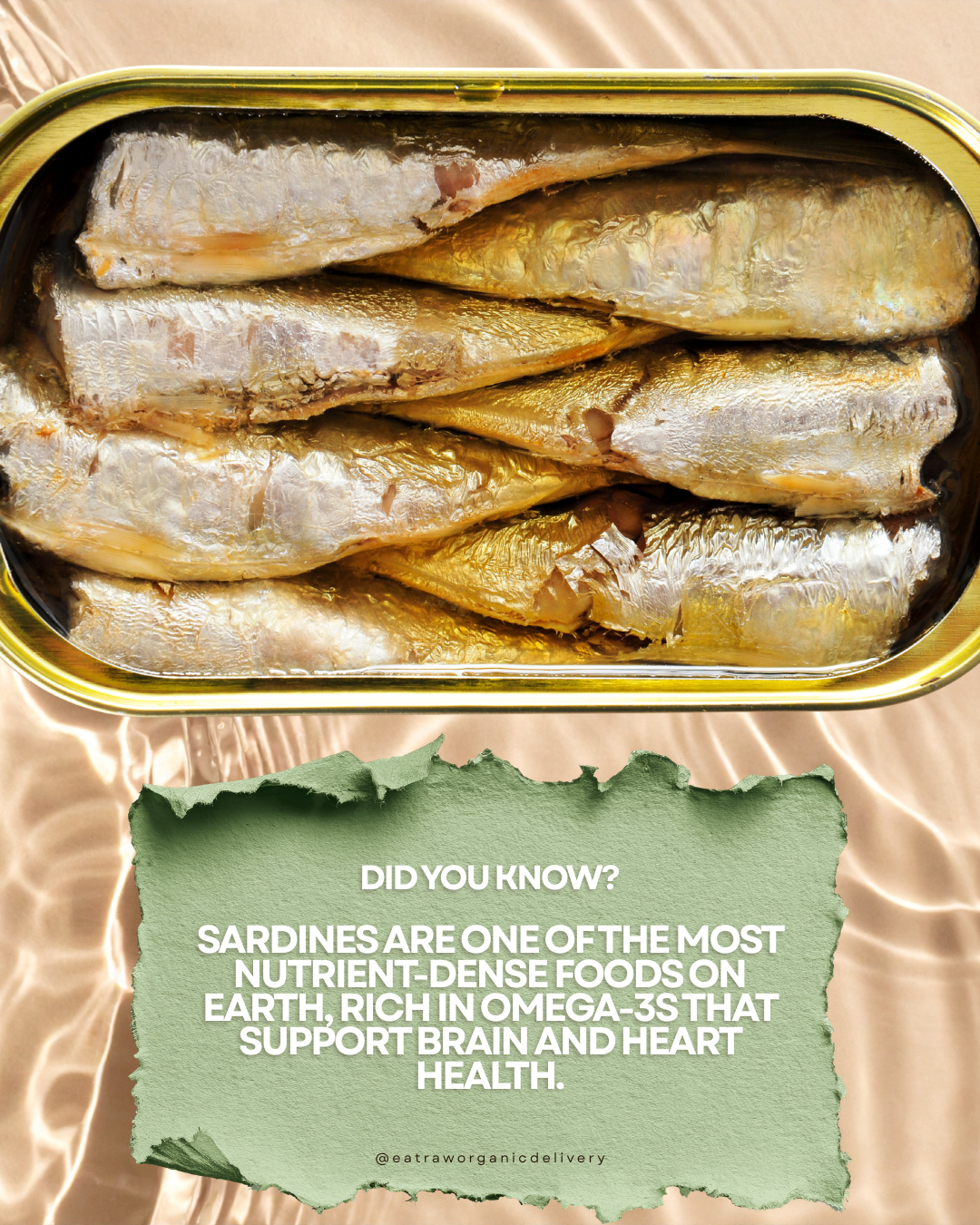 Why Sardines Are One of the Most Nutrient-Dense Foods You Can Eat