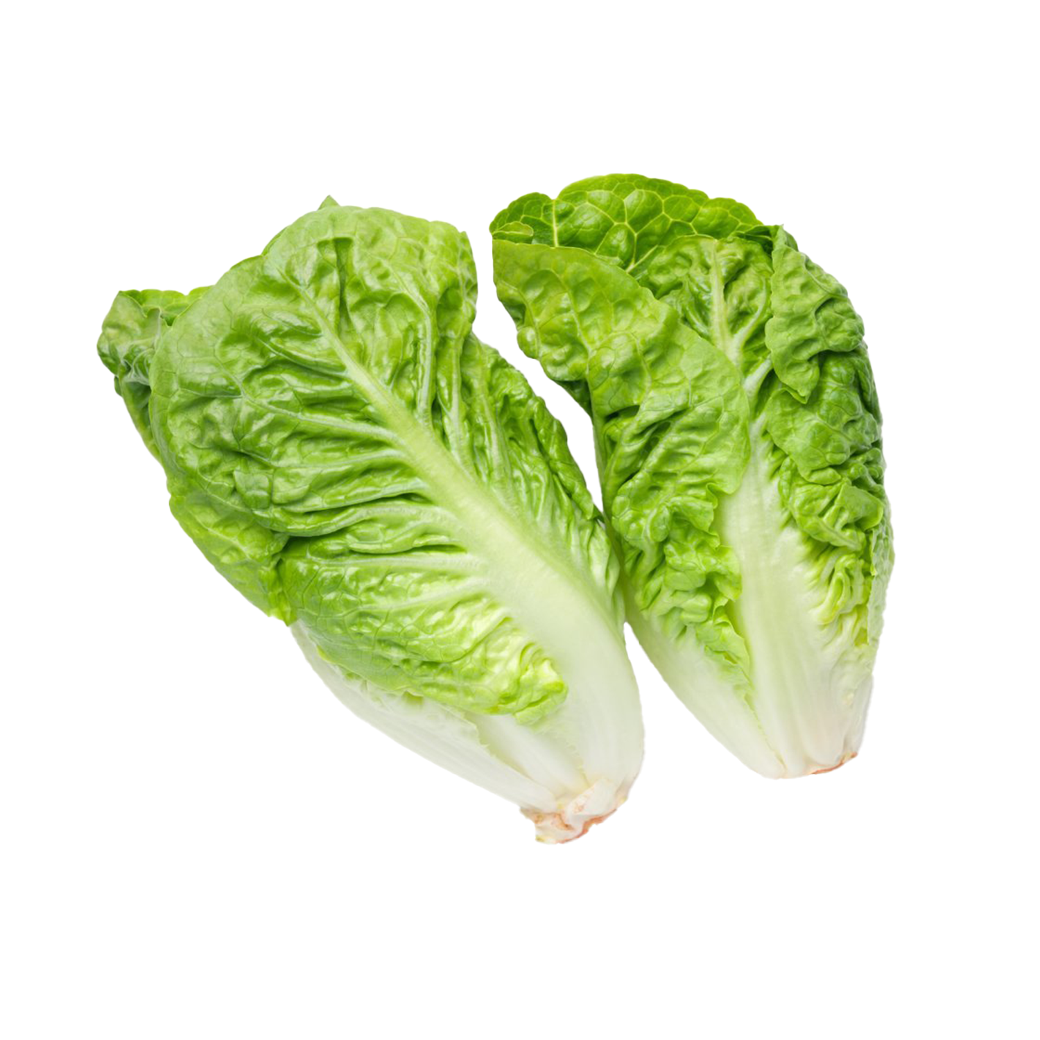 LETTUCE MINI COS (TWIN PACK)