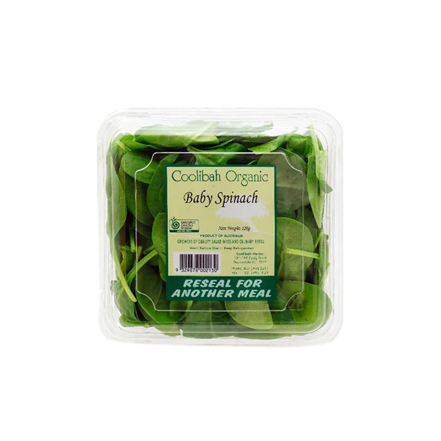 BABY SPINACH PUNNET (120g)
