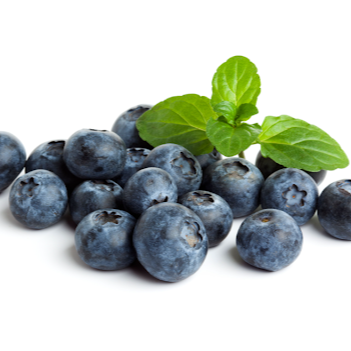 BLUEBERRY (PUNNET)