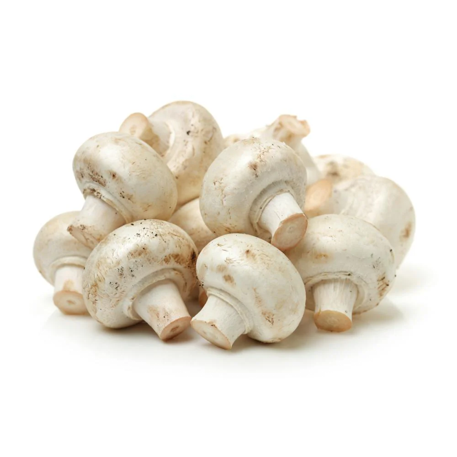 MUSHROOM BUTTON (180g PUNNET)