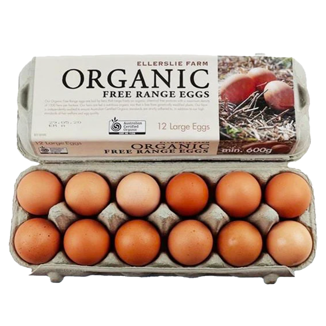ELLERSLIE ORGANIC EGGS 600G (1 DOZEN)