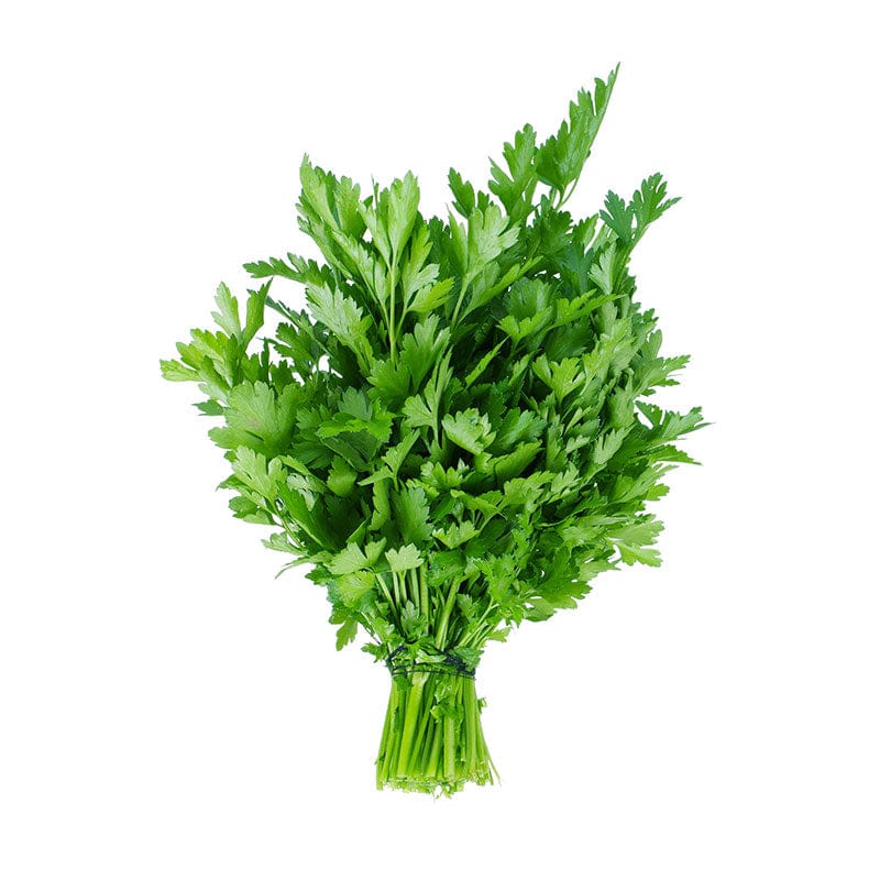 PARSLEY FLAT LEAF (BUNCH)