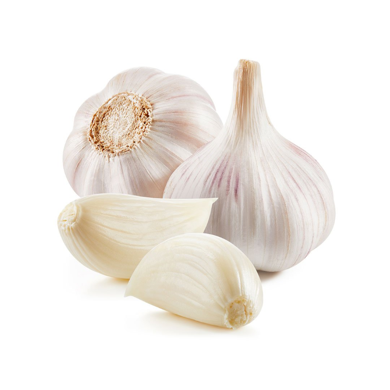 GARLIC