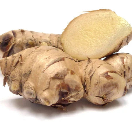 GINGER
