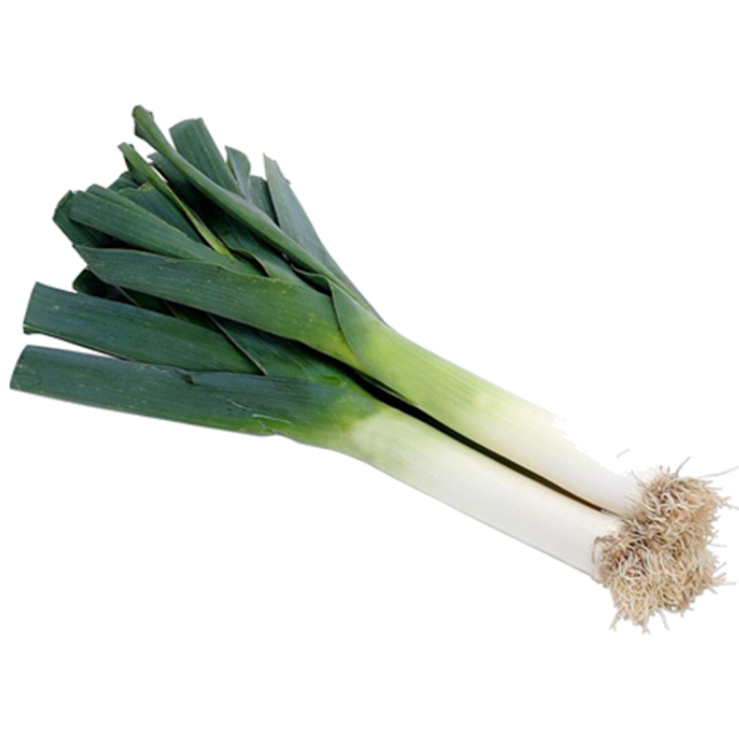 LEEK (BUNCH)