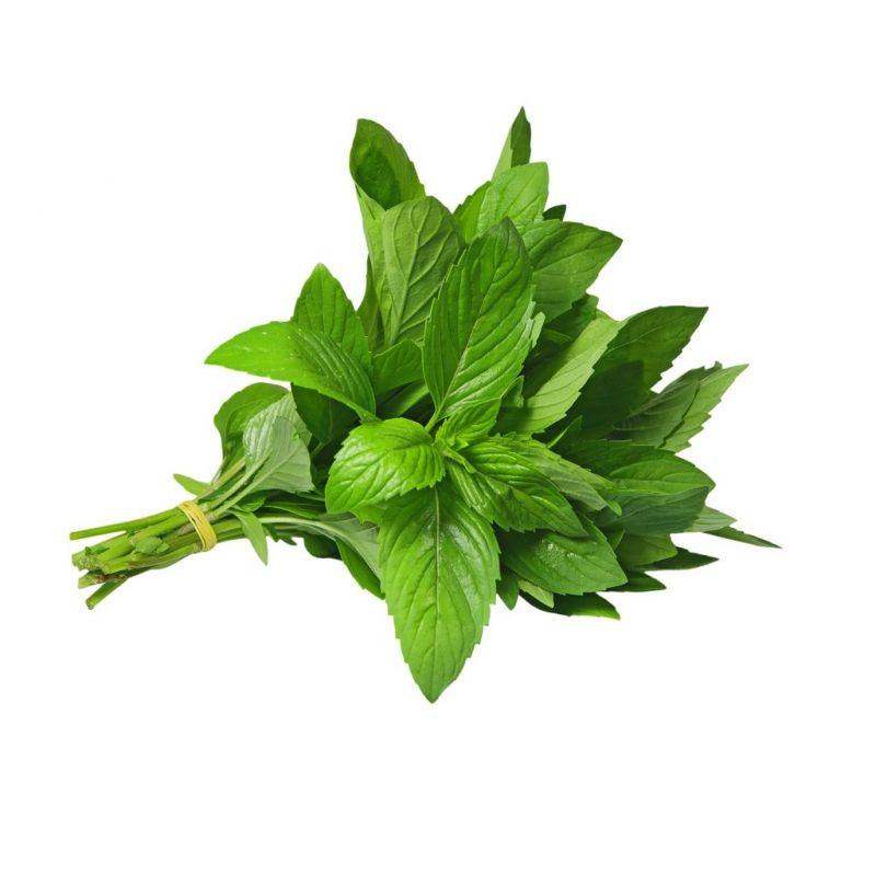 MINT (BUNCH)