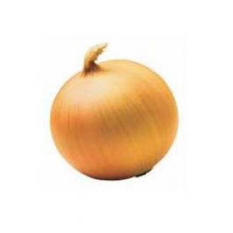 ONION BROWN