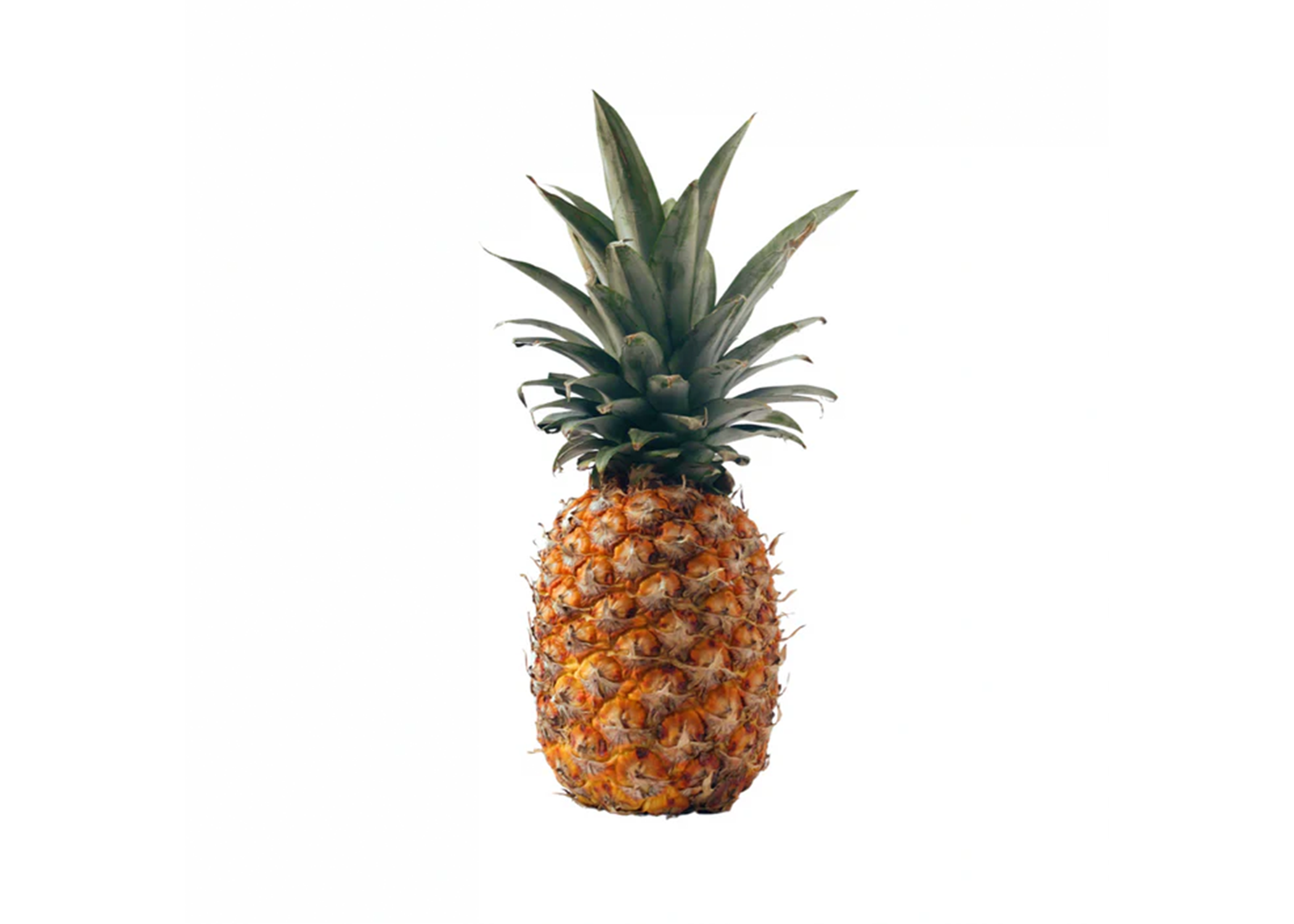 PINEAPPLE (1 EACH)