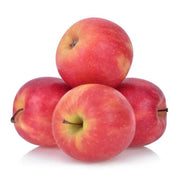 APPLES PINK LADY