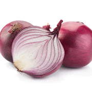 ONION SPANISH