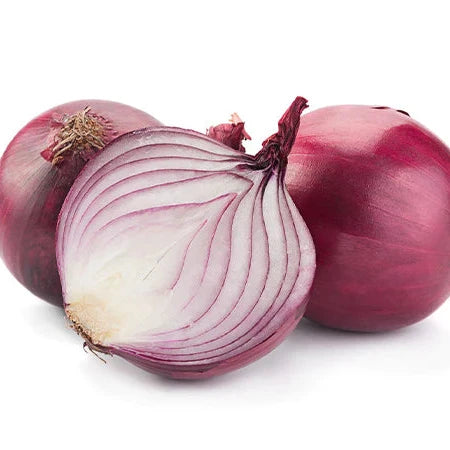 ONION SPANISH
