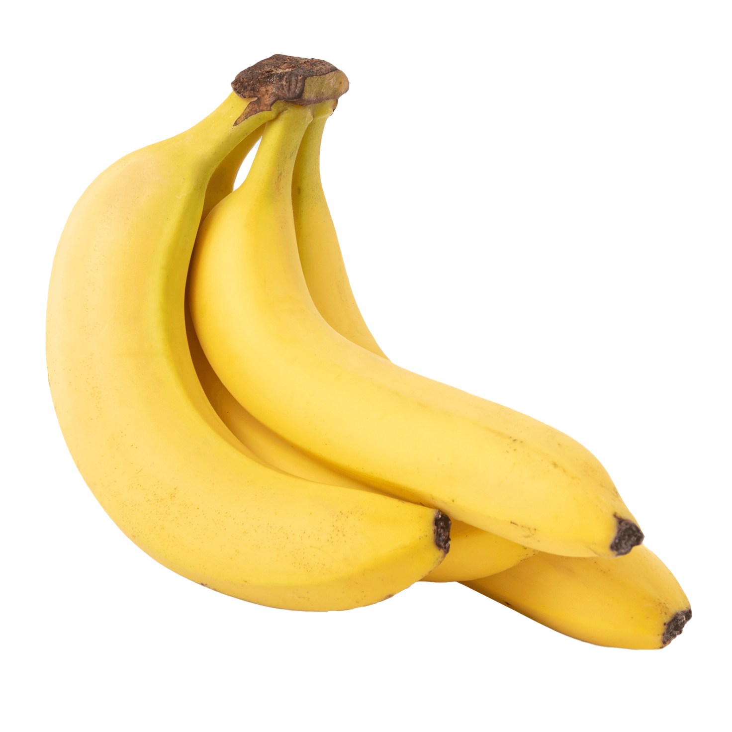 CAVENDISH BANANA