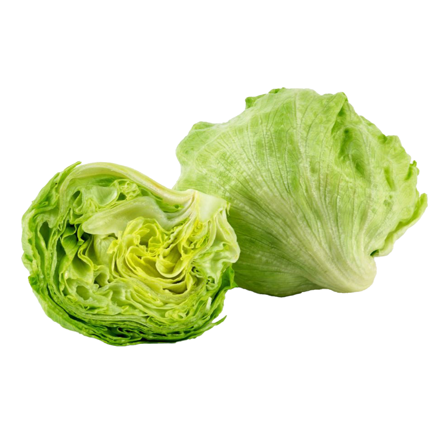 LETTUCE ICEBERG (WHOLE)
