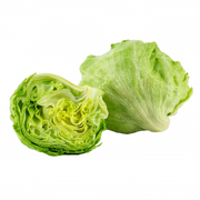 LETTUCE ICEBERG (WHOLE)