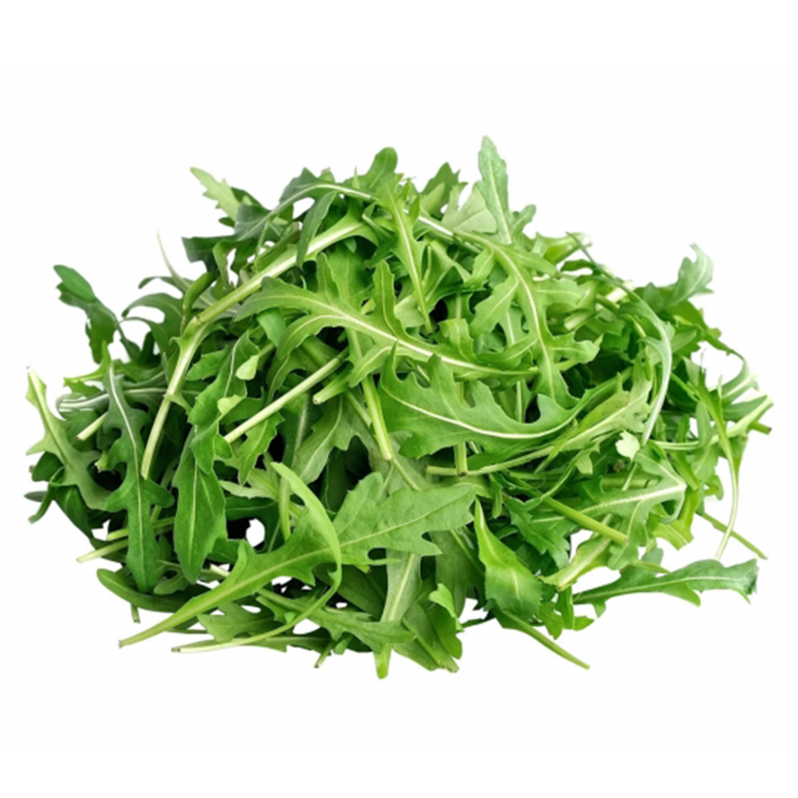 WILD ROCKET LOOSE (250g)