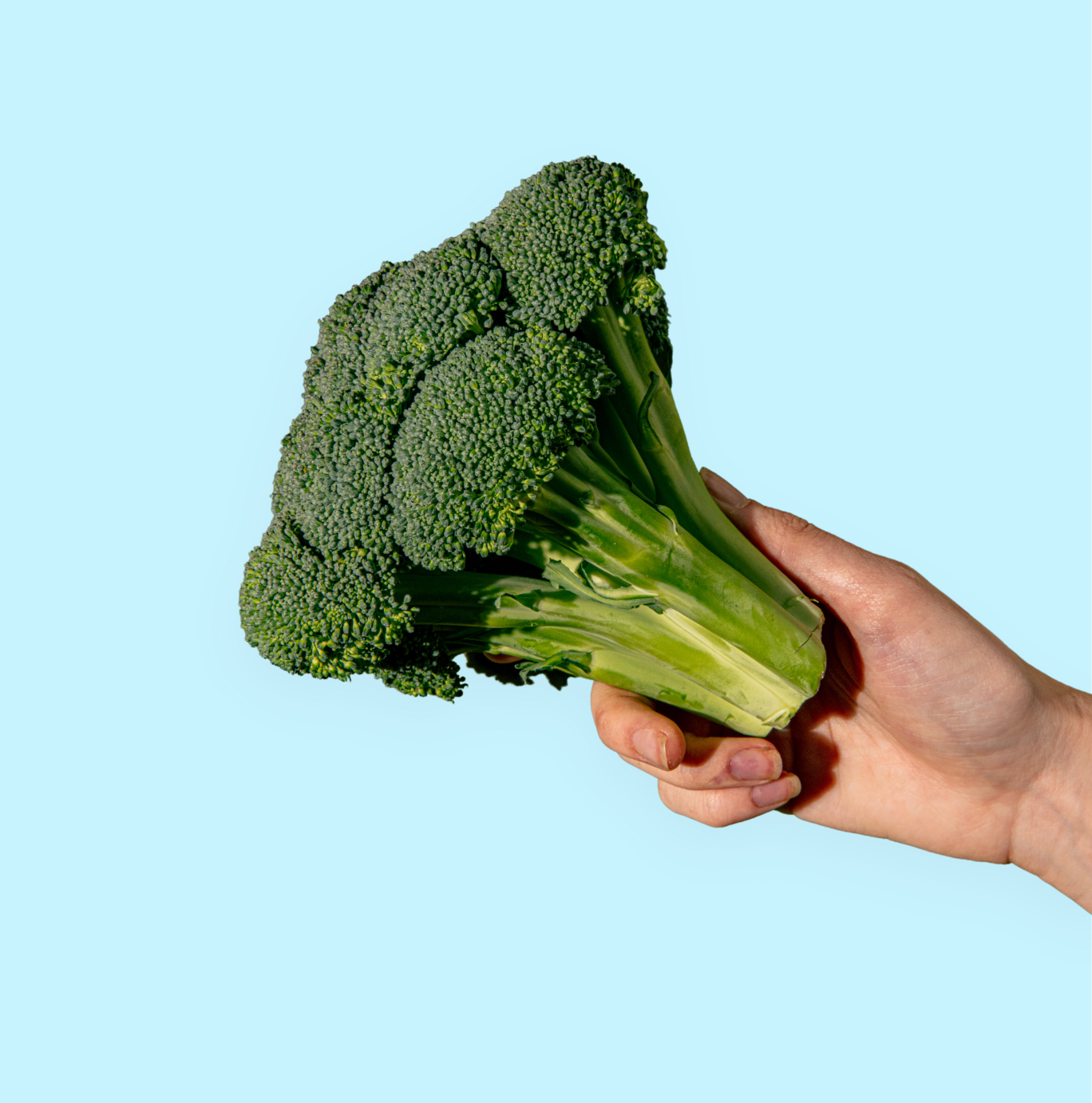 Eatraw Organic Delivery 
